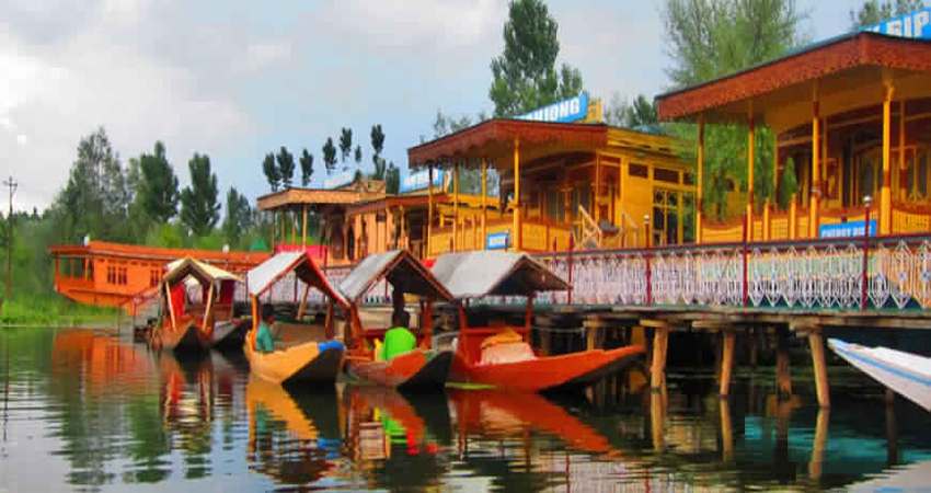kashmir